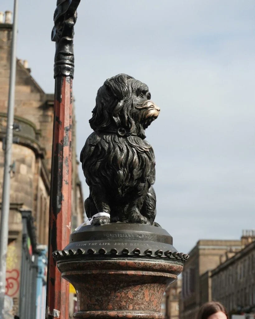Perro de guarda, bronce de 2023